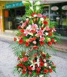 柯城开业花篮